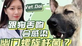 《宠物医院》第8集：诺言久诚撒狗粮