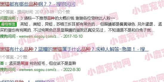 黑猫品种介绍