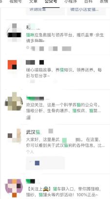月赚3万的偏门小众无本宠物项目