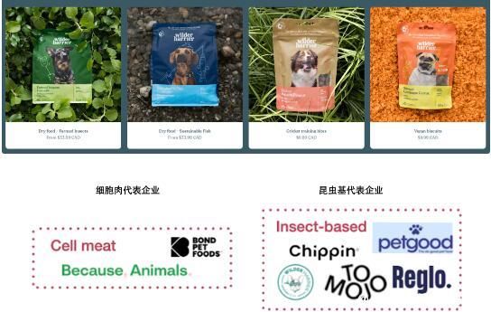 它经济崛起，宠物食品赛道生变！国内外的核心趋势分别有啥特点？