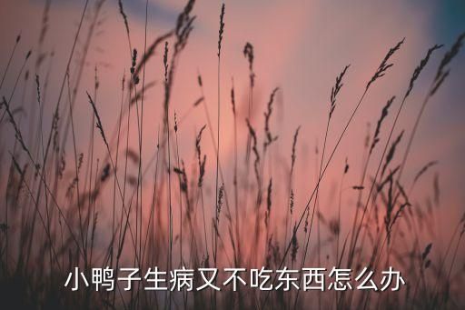  小鸭子生病又不吃东西怎么办