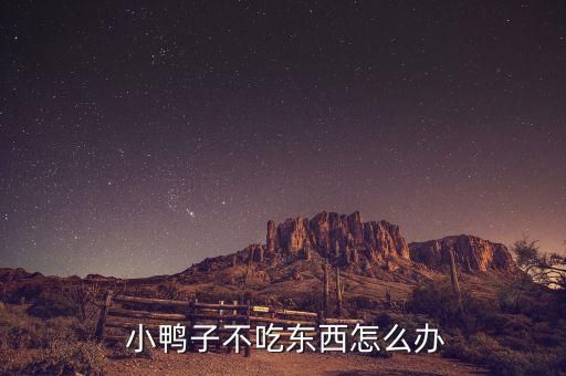  小鸭子不吃东西怎么办