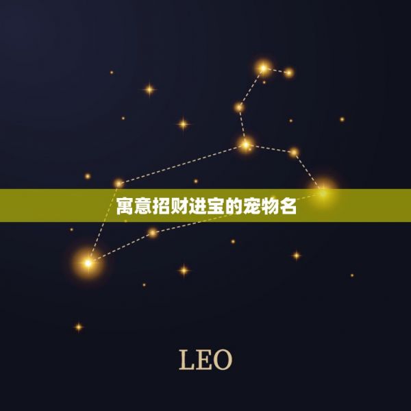 寓意招财进宝的宠物名，狗狗发财的名字大全 第1张