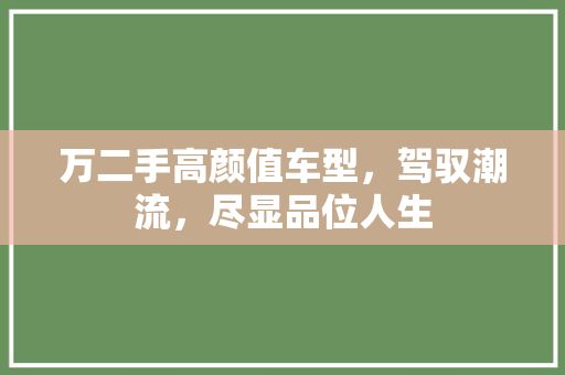 万二手高颜值车型,驾驭潮流,尽显品位人生