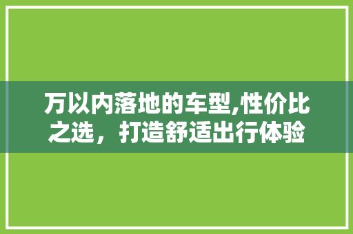 万以内落地的车型,性价比之选,打造舒适出行体验