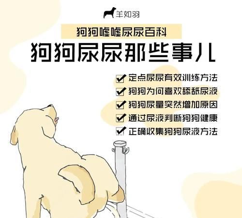 如何训练狗狗不咬人？（从小抓起，培养友善的宠物犬）