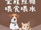 武汉本地猫狗活体宠物托运