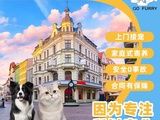 广州增城猫狗运输宠物托运上门接送 空调宠物专车