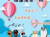 广州从化猫狗宠物托运本地 靠谱实体店 上门接送