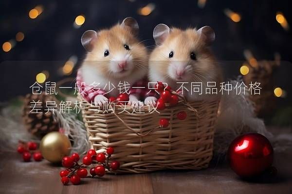 仓鼠一般多少钱一只？不同品种价格差异解析与购买建议