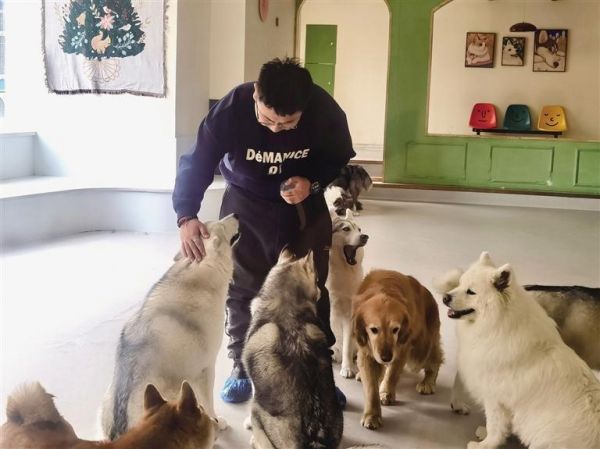 顾客在猫咖狗咖给狗狗喂食