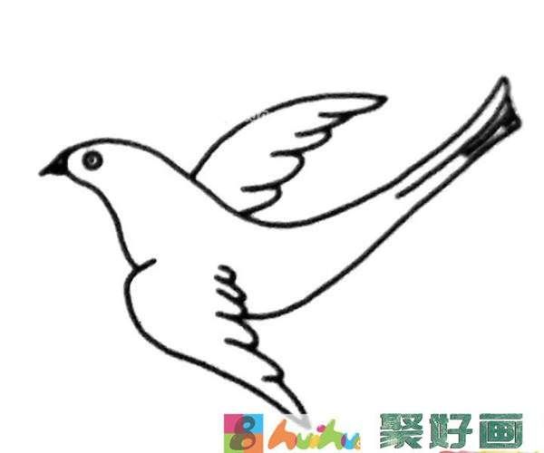 6款简单的喜鹊简笔画图片怎么画简笔画教程