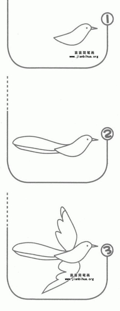 喜鹊简笔画图片大全
