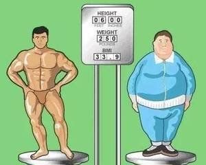 常州狗训练营减肥