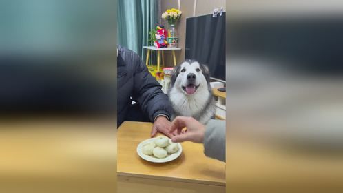 想要我狗命？