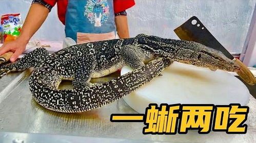 宠物蜥蜴饮食指南