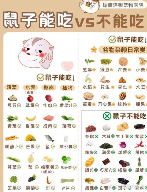 仓鼠喜欢吃什么零食,仓鼠喜欢吃什么零食和水果
