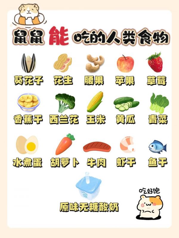 仓鼠喜欢吃什么零食,仓鼠喜欢吃什么零食和水果