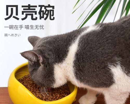 如何合理安排宠物猫每月的饮食量（掌握关键数据和技巧）