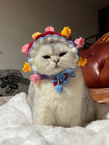 全身剃毛