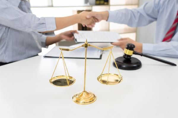 宠物买卖合同协议书范本：合法与规范的宠物交易指南 图1