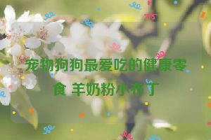 宠物狗狗最爱吃的健康零食 羊奶粉小布丁