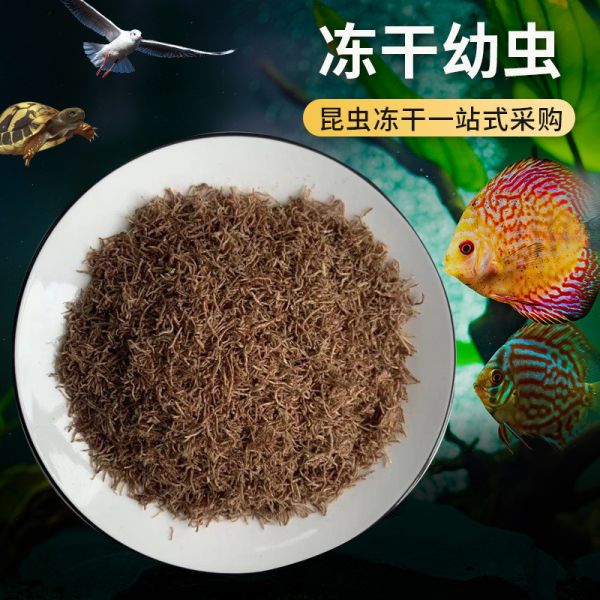 我佩人16观赏鱼饲料