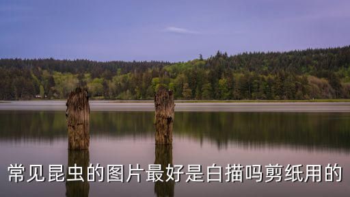 常见昆虫的图片最好是白描吗剪纸用的
