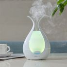 火焰木纹精油车载家用自动智能专用大容量喷香机香薰机落地加湿器