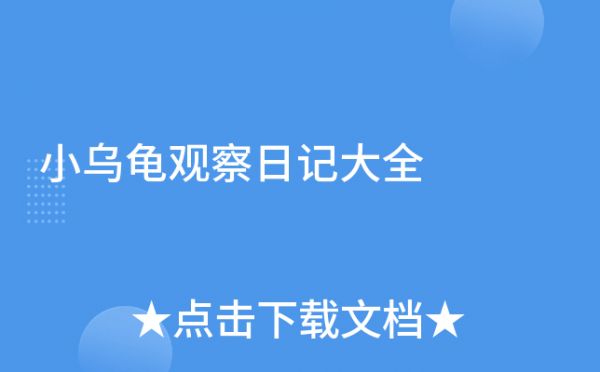小乌龟观察日记大全