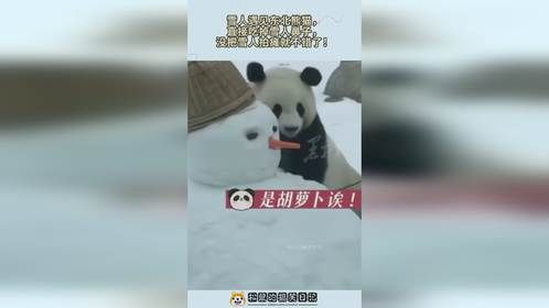 雪人遇见东北熊猫，直接吃掉雪人鼻子，没把雪人拍瘫就不错了！