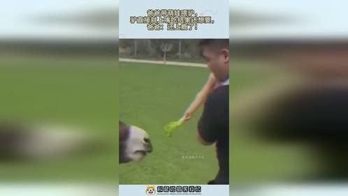 爸爸带萌娃喂驴，驴直接就上嘴吃结果还想要，爸爸：还上瘾了！