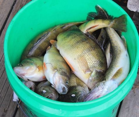 海北藏族自治州鱼缸售后维护中心电话 其他品牌鱼缸