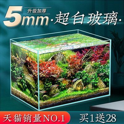 小鱼缸的故事：[需手动填充][需手动填充]的生活习性，鱼缸生态平衡维护技巧，观赏鱼品种选择指南 鱼缸百科 第3张