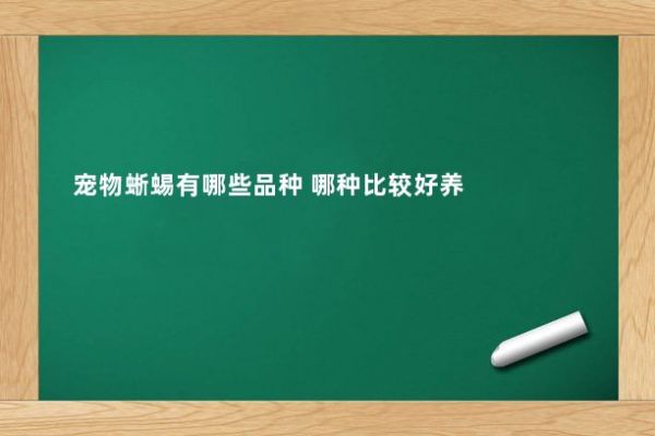 宠物蜥蜴有哪些品种 哪种比较好养