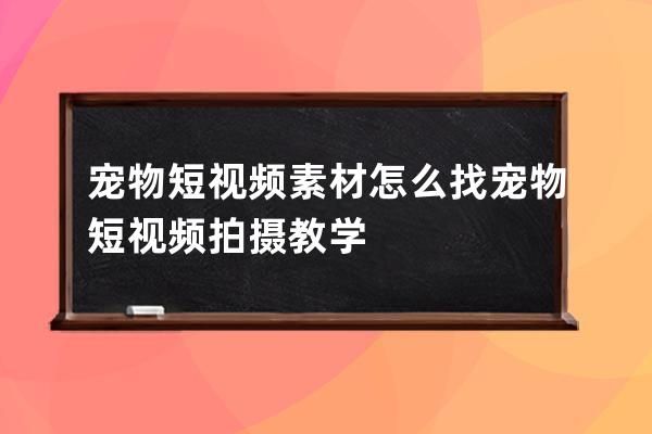 宠物短视频素材怎么找 宠物短视频拍摄教学