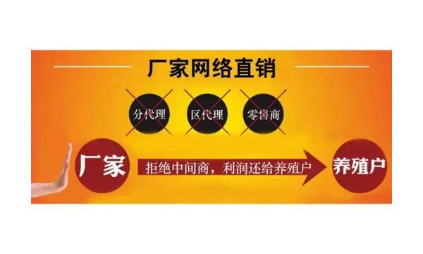 云南牛羊育肥饲料厂 来电咨询 云南网农农业开发供应