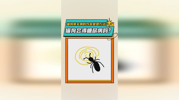 猫狗会得糖尿病吗？