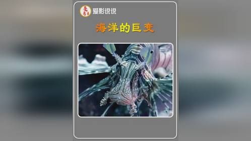 环境对海洋的影响也太大了生物