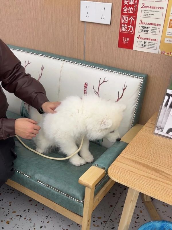 https://qcloud.dpfile.com/pc/pN_AEtWe1DN2aqE8Izk2lCQpICKfcA139B4vsqQyMaHKp--Kz_ik_56JN_gB1JKxY0q73sB2DyQcgmKUxZFQtw.jpg