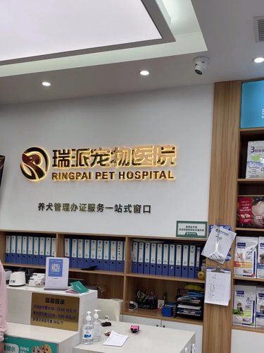 带着毛孩子体检的一天