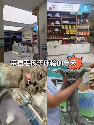 医术超赞 医心更美~