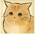 猫咪天堂正式版