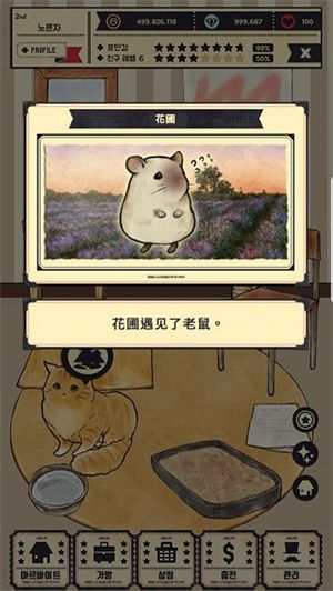 猫咪天堂手游截图
