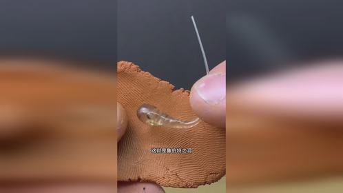 有趣的鲁伯特之泪.mp4973