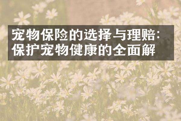 宠物保险的选择与理赔：保护宠物健康的全面解析
