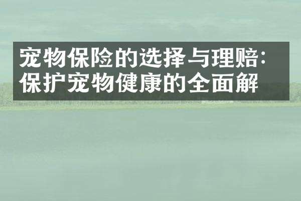 宠物保险的选择与理赔：保护宠物健康的全面解析