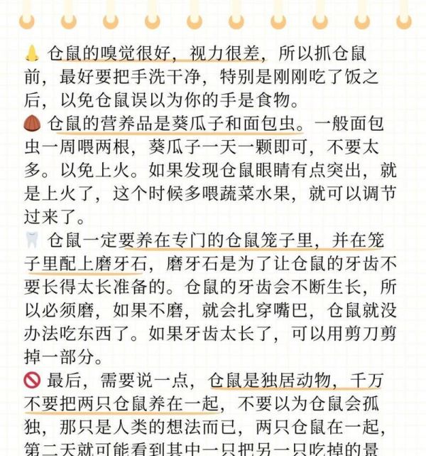 如何在市场上挑选健康的仓鼠幼崽？