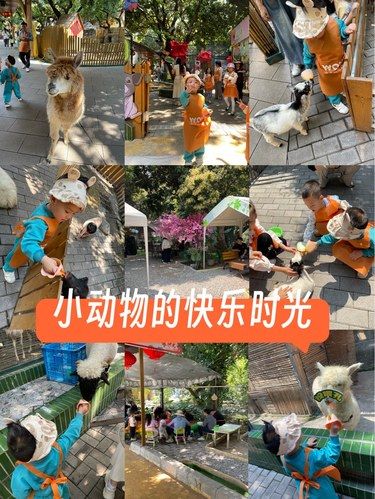 小动物们的快乐派对