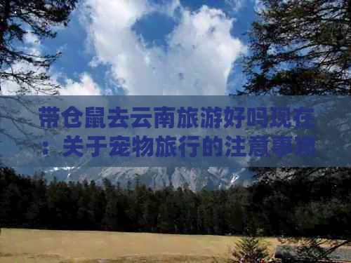 带仓鼠去云南旅游好吗现在：关于宠物旅行的注意事项